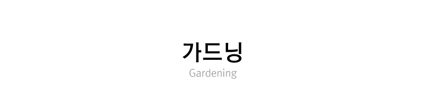 바란스