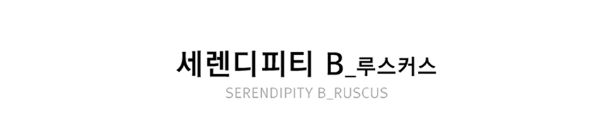 상상후 홈데코