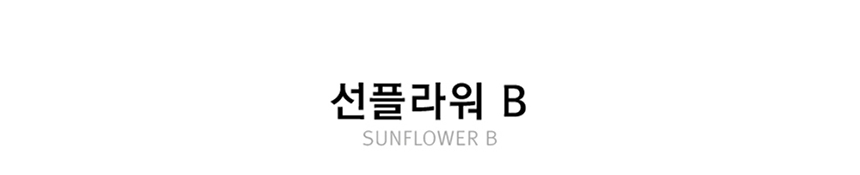 홈데코