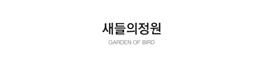창커튼