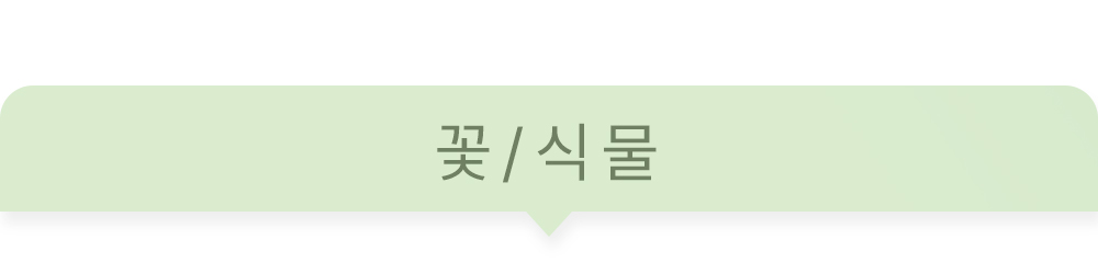 상상후 패브릭포스터 꽃 식물 테마