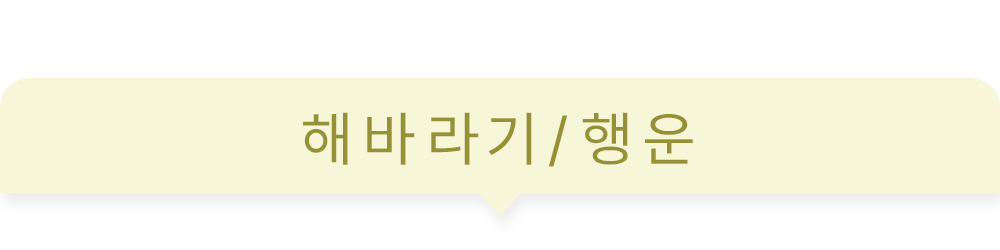 상상후 패브릭포스터 해바라기 행운 테마