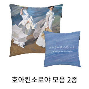 상상후 쿠션커버 호아킨소로야