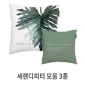 상상후 쿠션커버 세렌디피티