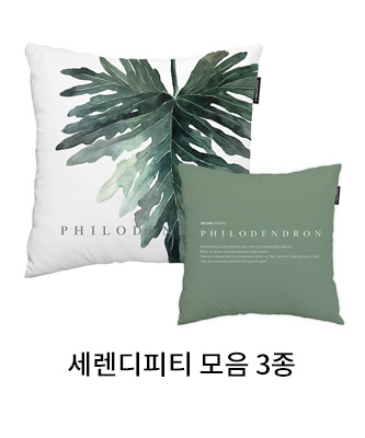 상상후 쿠션커버 세렌디피티