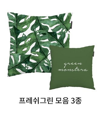 상상후 쿠션커버 프레쉬그린