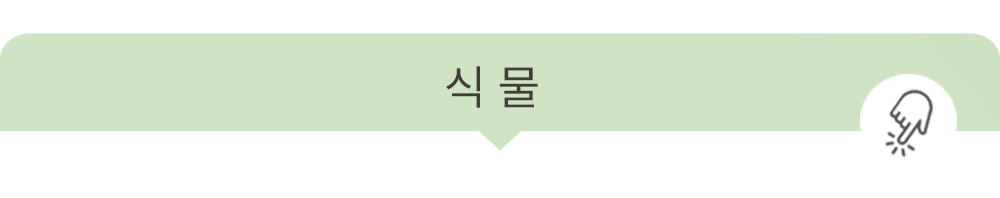 상상후 쿠션커버 식물시리즈 베스트