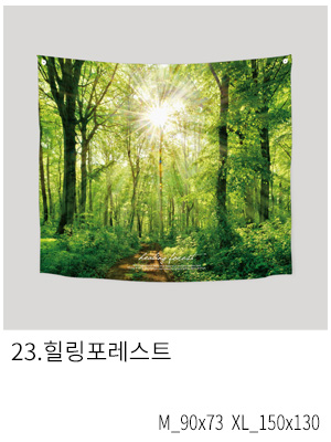 상상후 패브릭포스터 힐링포레스트