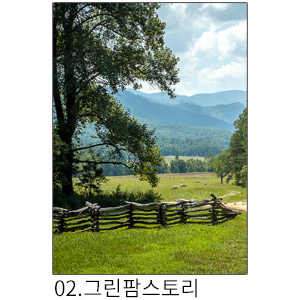 상상후 쉬폰패브릭포스터 그린팜스토리