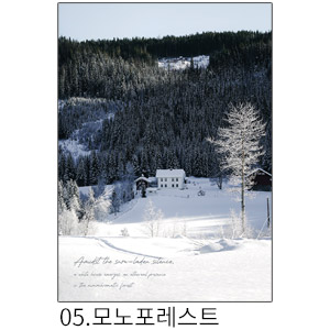 상상후 쉬폰패브릭포스터 모노포레스트