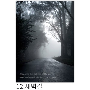 상상후 쉬폰패브릭포스터 새벽길