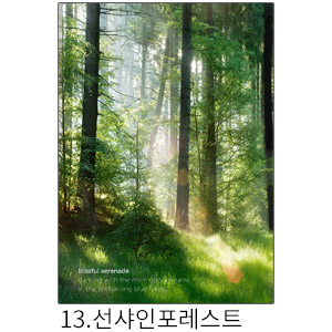 상상후 쉬폰패브릭포스터 선샤인포레스트