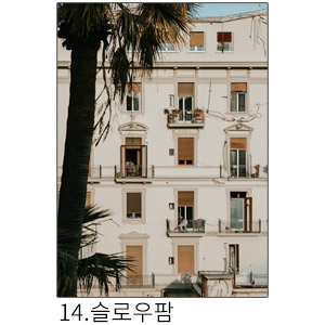 상상후 쉬폰패브릭포스터 슬로우팜
