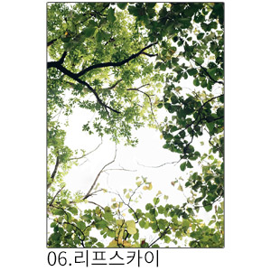 상상후 쉬폰패브릭포스터 리프스카이