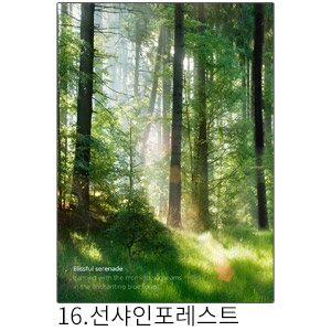 상상후 쉬폰패브릭포스터 선샤인포레스트