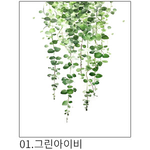 상상후 쉬폰패브릭포스터 그린아이비