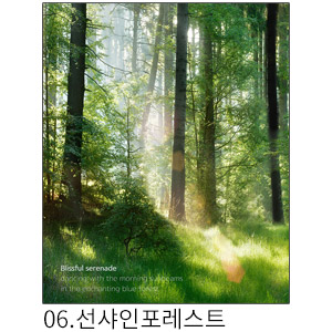 상상후 쉬폰패브릭포스터 선샤인포레스트