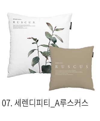 쿠션커버 세렌디피티 a루스커스