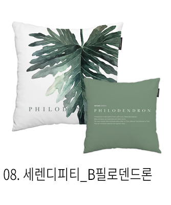 쿠션커버 세렌디피티 b필로덴드론