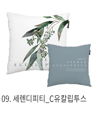 쿠션커버 세렌디피티 c유칼립투스