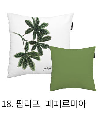쿠션커버 팜리프 페페로미아