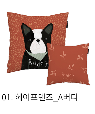 쿠션커버 헤이프렌즈 a버디