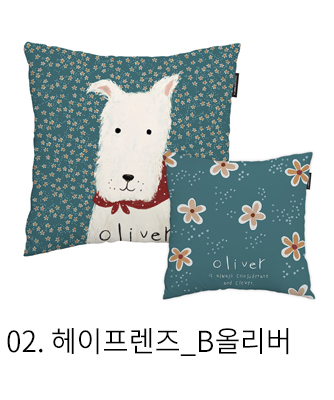 쿠션커버 헤이프렌즈 b올리버