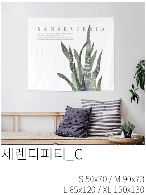 패브릭포스터 세렌디피티 C