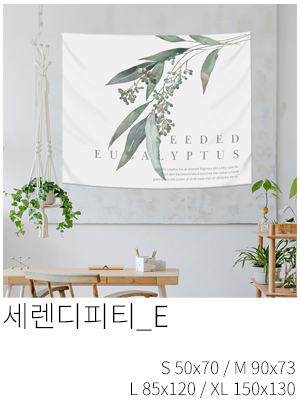 패브릭포스터 세렌디피티 E
