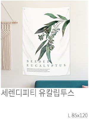 패브릭포스터 세렌디피티 유칼립투스