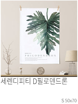 패브릭포스터 세렌디피티 D 필로덴드론