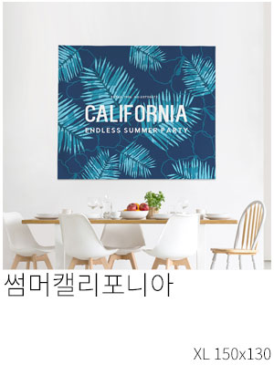 패브릭포스터 썸머캘리포니아