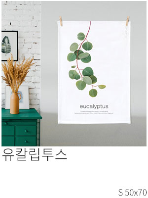 패브릭포스터 유칼립투스