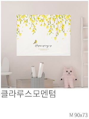 패브릭포스터 클라루스모멘텀