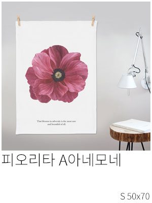 패브릭포스터 피오리타 A 아네모네