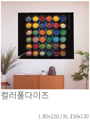 패브릭포스터 컬러풀다이즈