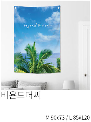 패브릭포스터 비욘드더씨