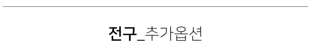 추가옵션 전구