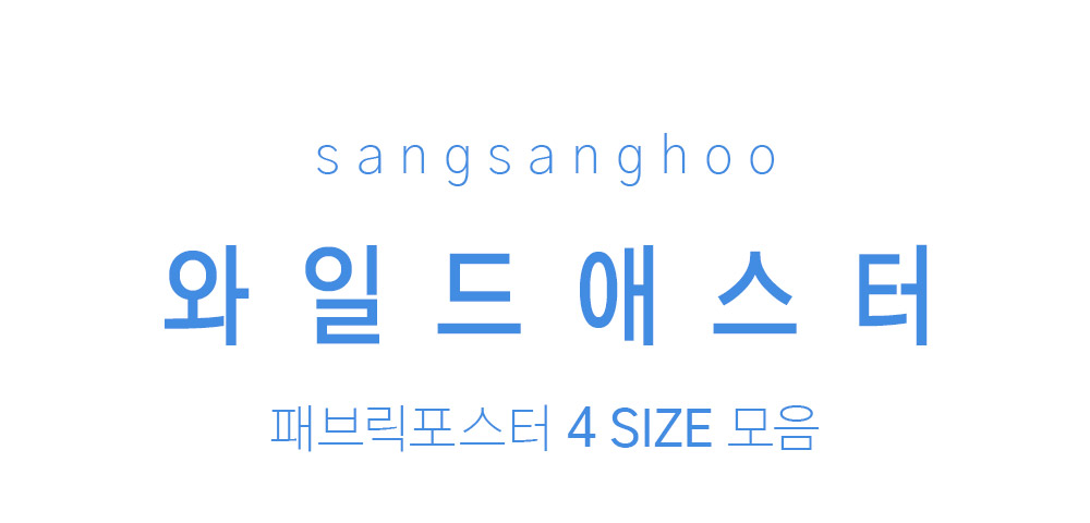 패브릭포스터 와일드애스터