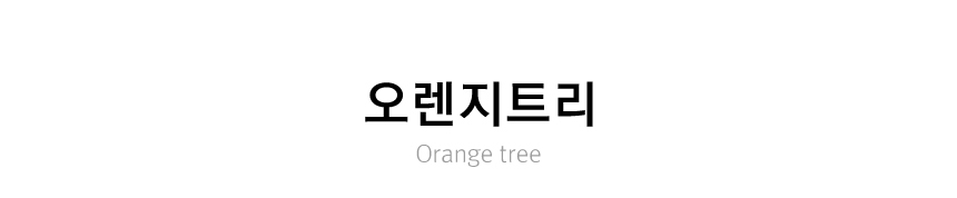 홈데코